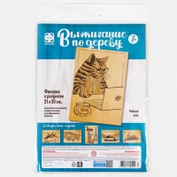 Основы для выжигания &laquo;Учёный кот&raquo; 30х21 см