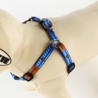 Комплект «Любимчик», шлейка 24-36 см, поводок 120х1 см Комплект «Любимчик», шлейка 24-36 см, поводок 120х1 см