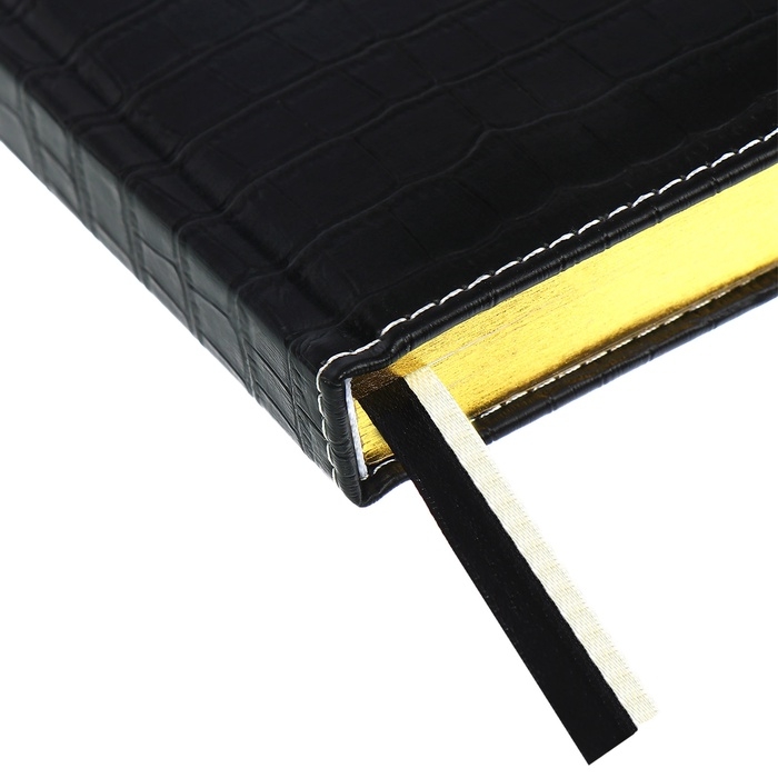 Ежедневник датированный 2024 A5 176 листов, deVENTE.Wild, твёрдая обложка из искусственной кожи, золотой срез, ляссе, кремовый блок 70 г/м2, чёрный