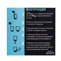 Набор для опытов &laquo;Живой магнит&raquo;