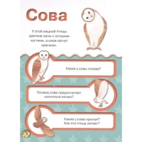 Карточки с дополненной реальностью &laquo;Животные 4D&raquo;