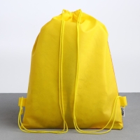 Мешок для обуви &laquo;Воин. Аниме&raquo; полиэстер, размер 30 х 40 см