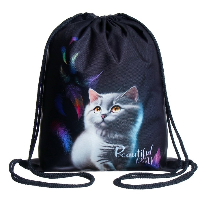 Мешок для обуви 435 х 360 мм, Stavia (плотность 600D с водоотталкивающей ПУ-пропиткой) "Кот и перья"