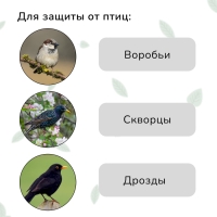 Сетка садовая, мягкая, 5 &times; 4 м, ячейка 15 &times; 15 мм, от птиц, Greengo