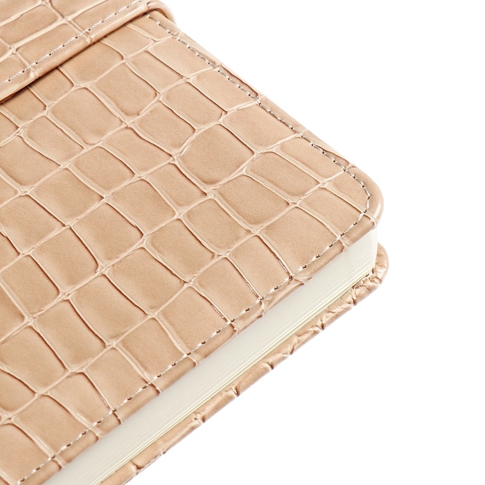 Ежедневник датированный 2025 A5 168 листов, deVENTE.Barbara, твердая обложка кожзам с поролоном, хлястик, перфорация, ляссе, блок 70, бежевый Ежедневник датированный 2025 A5 168 листов, deVENTE.Barbara, твердая обложка кожзам с поролоном, хлястик, перфорация, ляссе, блок 70, бежевый