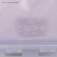 Контейнер пищевой 900 мл с герметичной крышкой , цвет МИКС