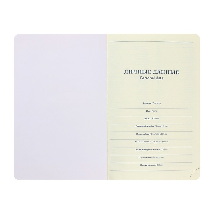 Ежедневник недатированный А5, 136 листов в линейку, кожзам "Небраска", золотой срез, коричневый