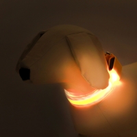 Ошейник с подсветкой Двойная полоса размер S, ОШ 35-43 х 2,5 см, 3 режима свечения жёлтый Ошейник с подсветкой Двойная полоса размер S, ОШ 35-43 х 2,5 см, 3 режима свечения жёлтый