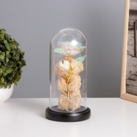 Ночник колба &laquo;Мишка с цветком&raquo; LED белый 3хААА 10,5х10,5х22см