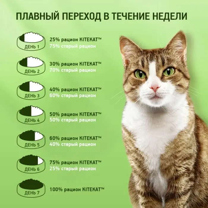 Влажный корм KiteKat для кошек, рыба в соусе, пауч, 85 г