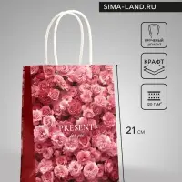 Пакет подарочный крафт Present, 15&times;8&times;21 см