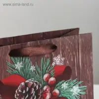 Пакет подарочный новогодний ламинированный квадратный &laquo;Новогоднее поздравление&raquo;, 22 х 22 х 11 см