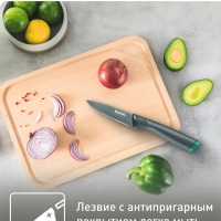 Нож для овощей Fresh Kitchen K1220604, 9 см