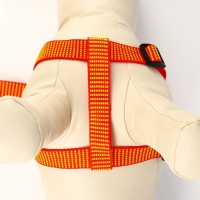 Комплект амуниции рельефный, 2 см, поводок 120 см,красно-жёлтый