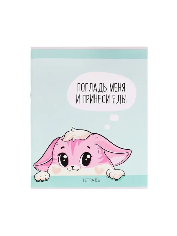 Тетрадь 48 листов в клетку Calligrata &laquo;Лисички&raquo;, обложка мелованная бумага, серые листы, МИКС