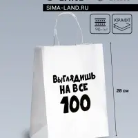 Пакет подарочный с приколами &laquo;Выглядишь на все 100&raquo;, 24&times;14&times;28 см