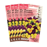 Семена Цветов  Фиалка "Еллоу Пурпл Винг",набор 5 шт