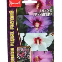 Семена цветов Гибискус Сирийский 7 шт. 12.29 г.