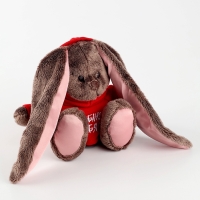 Мягкая игрушка &laquo;Зайка Li&Lu в худи&raquo;