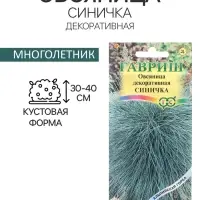 Семена цветов Овсяница "Синичка", ц/п,  декоративная , 0,1 г