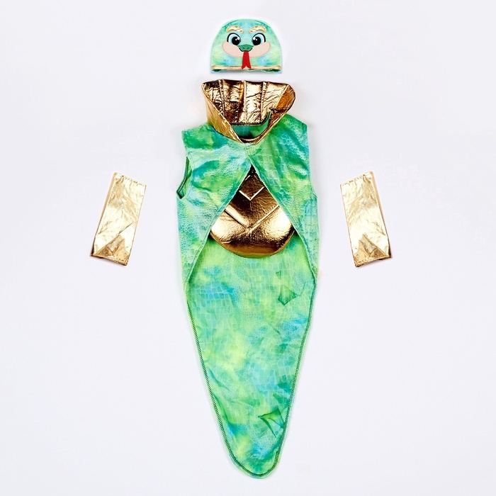 Карнавальный костюм детский «Новогодний змей»: жилетка, нагрудник, шапка, нарукавники, рост 116-128 см Карнавальный костюм детский «Новогодний змей»: жилетка, нагрудник, шапка, нарукавники, рост 116-128 см