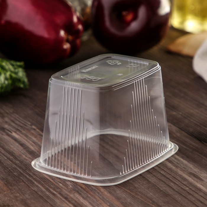 Контейнер пластиковый одноразовый с крышкой, 10 шт, 350 мл, 10,8×8,2×7 см, цвет прозрачный Контейнер пластиковый одноразовый с крышкой, 10 шт, 350 мл, 10,8×8,2×7 см, цвет прозрачный