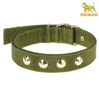 Ошейник для животных