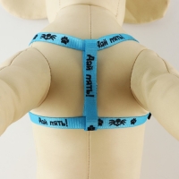 Комплект &laquo;Дай пять!&raquo;, шлейка 26-39 см, поводок 120х1 см, медальон