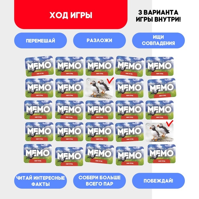 Мемо &laquo;Мир птиц&raquo;