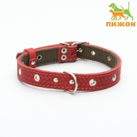Ошейник комбинированный кожа/брезент, безразмерный, 56 х 2,5 см, ОШ 25-51 см, красный Ошейник комбинированный кожа/брезент, безразмерный, 56 х 2,5 см, ОШ 25-51 см, красный