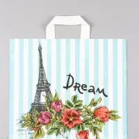 Пакет "За мечтой", полиэтиленовый с петлевой ручкой, 38 х 34 + 3 см, 70 мкм