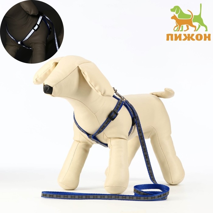 Комплект светоотражающий "Косточки",поводок 1 х 120 см,(ОШ 28-36 см,ОГ 28-36 см) синий