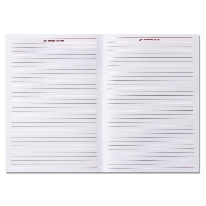 Ежедневник недатированный А5, 160 листов "Вивелла", обложка искусственная кожа, серый