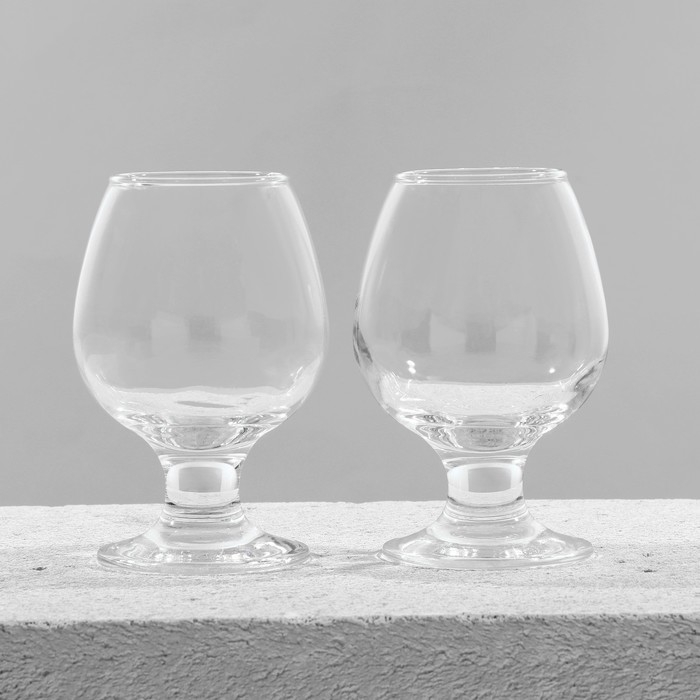 Чайник заварочный френч - пресс &laquo;Сейхо&raquo;, 350 мл, стекло, нержавеющая сталь