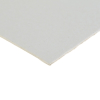 Картон пивной премиум, 20 х 30 см, толщина 1.6 мм, 650 г/м2, Италия, цена за 1 штуку Картон пивной премиум, 20 х 30 см, толщина 1.6 мм, 650 г/м2, Италия, цена за 1 штуку