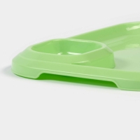 Блюдо для шашлыка с соусницей 30,3&times;21&times;2,5 см, цвет зеленый