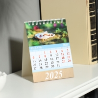 Календарь настольный, домик "Символ года - 1" 2025, 10 х 14 см Календарь настольный, домик "Символ года - 1" 2025, 10 х 14 см