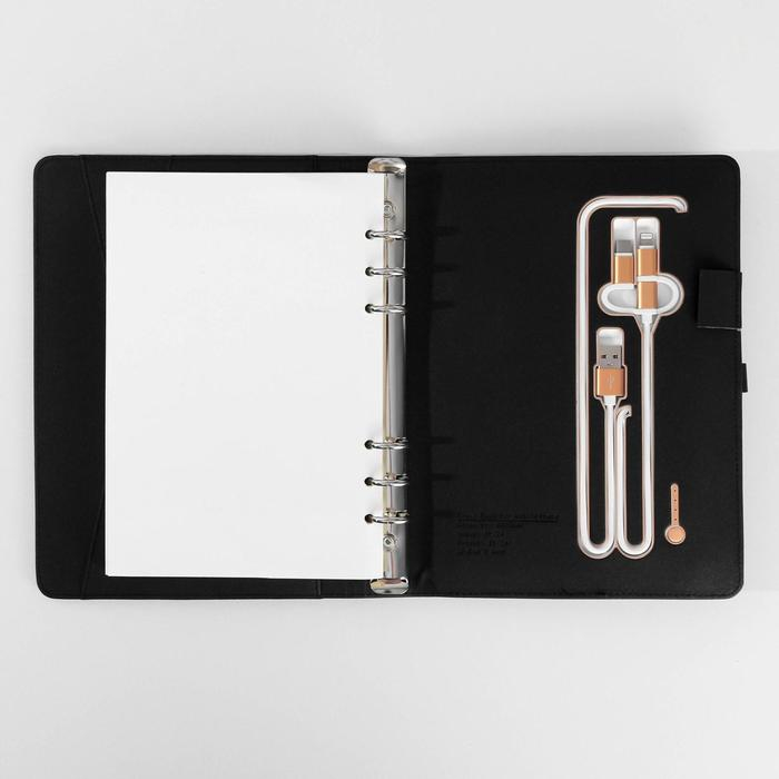 Ежедневник со встроенным зарядным устройством 8000 мАh и флешкой 16 ГБ &laquo;Лев&raquo;, 17,5 х 23,5 см