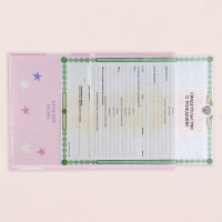 Папка под свидетельство о рождении "Коллаж " радуга, розовый фон, А5 Папка под свидетельство о рождении "Коллаж " радуга, розовый фон, А5