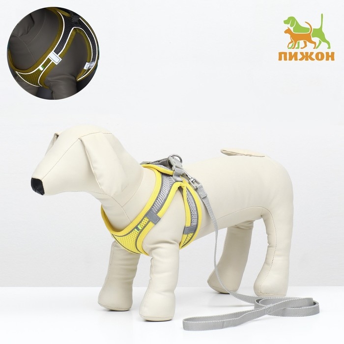 Комплект с мягкой шлейкой, быстросъемный, XS, поводок 150 х 1,5 см, ОШ 29-32 см, ОГ 31-34 см, жёлтый Комплект с мягкой шлейкой, быстросъемный, XS, поводок 150 х 1,5 см, ОШ 29-32 см, ОГ 31-34 см, жёлтый