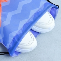 Мешок для обуви &laquo;Очаровательный щенок&raquo; болоньевый материал, 30 х 40 см