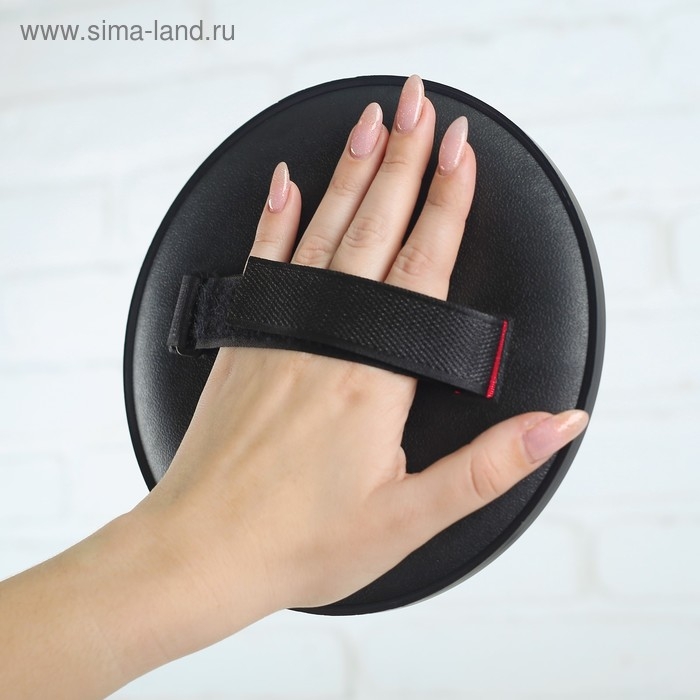 Игра «Тарелка-липучка», набор: 2 тарелки, мяч Игра «Тарелка-липучка», набор: 2 тарелки, мяч