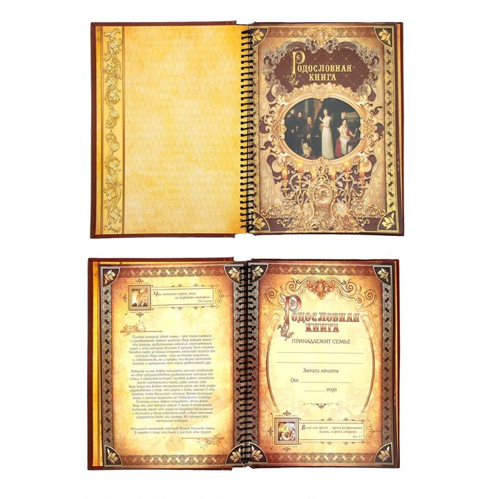 Родословная книга &laquo;История семьи&raquo;, 30 листов, 24.5 х 29.2 см