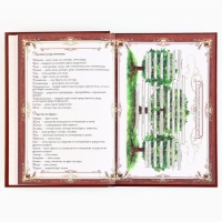 Родословная книга с новогодним пояском &laquo;Новый год: Каждый день&raquo;, 16,5 х 24 см.