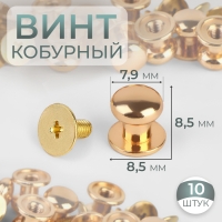 Кобурный винт d = 7,9/8,5 × 8,5 мм, 10 шт, цвет золотой Кобурный винт d = 7,9/8,5 × 8,5 мм, 10 шт, цвет золотой