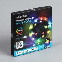 Умная гирлянда &laquo;Нить&raquo; 10 м роса, IP20, серебристая нить, 100 LED, управление с приложения, свечение RGB, USB