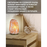 Солевая лампа Ergopower ER 502, 220 В, 15 Вт, 3-5 кг Солевая лампа Ergopower ER 502, 220 В, 15 Вт, 3-5 кг