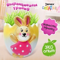 Набор для опытов &laquo;Выращиваем травку&raquo;, зайка