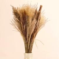 Букет из сухоцветов &laquo;Изумление&raquo;, высота 47 см