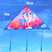 Воздушный змей &laquo;Верь в чудеса&raquo; 70х105 см